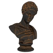 bust of a man (bronze and plaster)