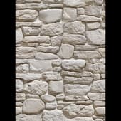 Decorative_Stone_07