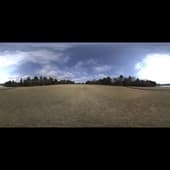 yellow_field_4k