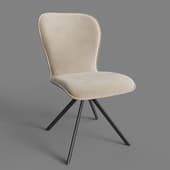 ASP-CHR-MET1