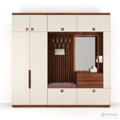 closet in the hallway ( cupboard )