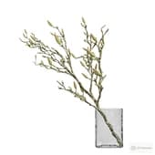 a sprig of magnolia in a vase 2.