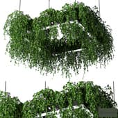 plant light hanging 1