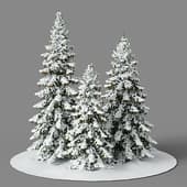Spruce 3 snow