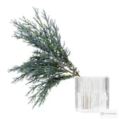 juniper branches