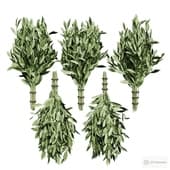 bath laurel brooms.