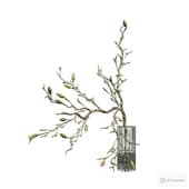a sprig of magnolia in a vase.