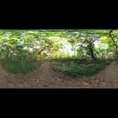river_walk_1_4k