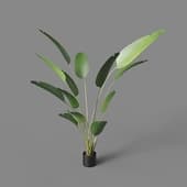 artificial plant style strelitzia 180 cm