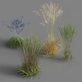 grass 5