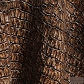 texture crocodile skin