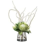 Plant260