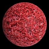 spaghetti rubber