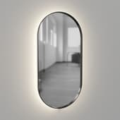oval mirror 1000x500