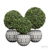 topiary in pots with slavic ornaments.