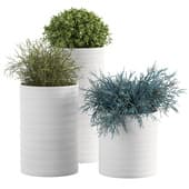 Bondi Pots