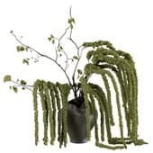 Plant909