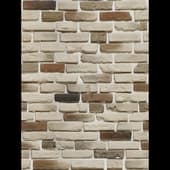 Decorative_Stone_35
