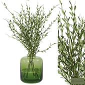 Little Leaf Bouquet Plant