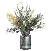 Plant264