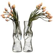 Plant259