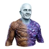 Metamorpho