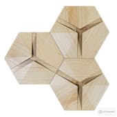 Optics Hexagon