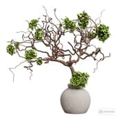 a branch with hydrangeas in a vase.