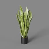 artificial plant sansevieria bush 80 cm