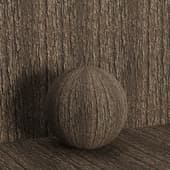 the texture of the tree bark