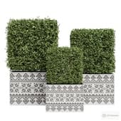 topiary in pots with slavic ornaments 3.