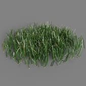107 simple grass medium v2