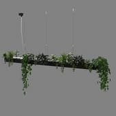 linear plant
