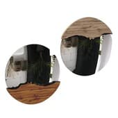 mirror043