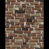 Decorative_Stone_36