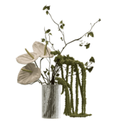 Plant908