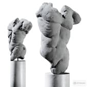 Athlete's torso