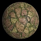 the paving stone