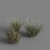 grass pattern 9
