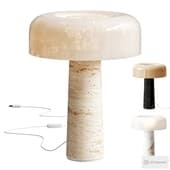 carl's desk lamp
