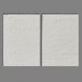 carpet 15664