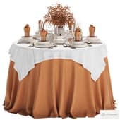 table setting / table setting 03
