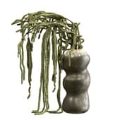 Plant840