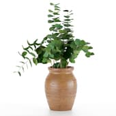 eucalyptus branches in a wooden vase