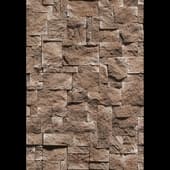 Decorative_Stone_44