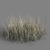 137 simple grass medium v2