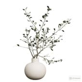 eucalyptus branches in a vase 2