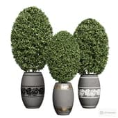 topiary in pots with slavic ornaments 2.