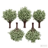 birch bath brooms.