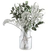 Plant271